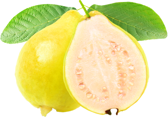Guayaba